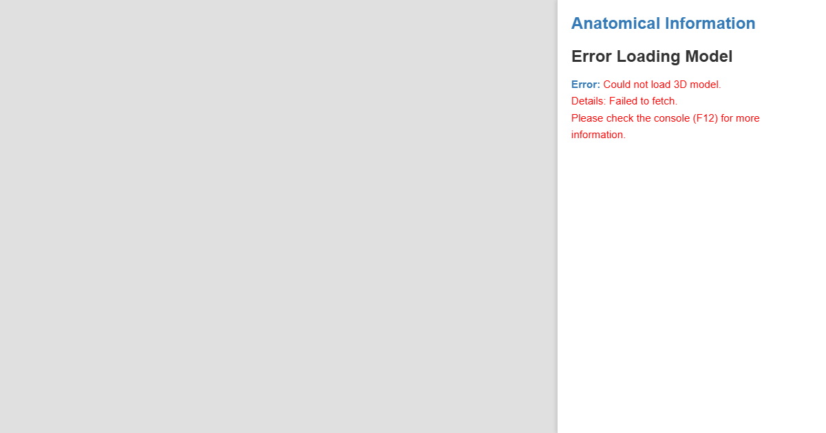 Preview for Interactive Human Skeleton - Anatomical Study